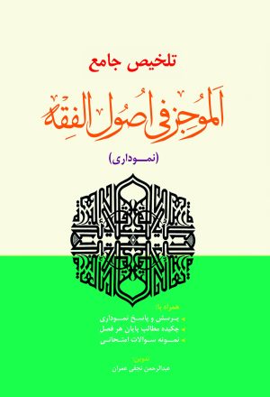 تلخیص نموداری الموجز فی اصول الفقه